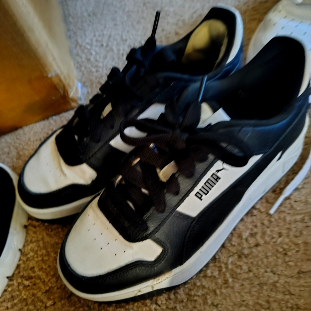 Pumas